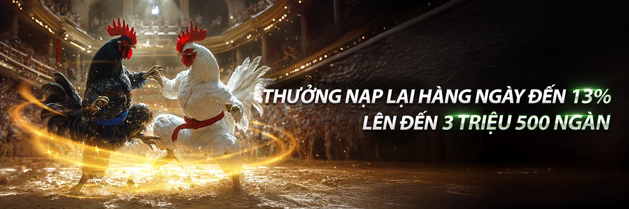 Blog ku99 nhà cái - Nơi chia sẻ kiến thức cá cược